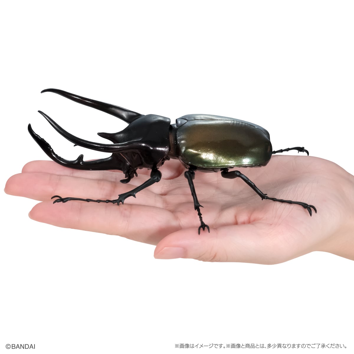 PRE-ORDER Bandai - The Diversity of Life on Earth - Beetle (Kabuto Mushi) 10 Bark Pedestal (Small) Set [Gashapon Online EXCLUSIVE]