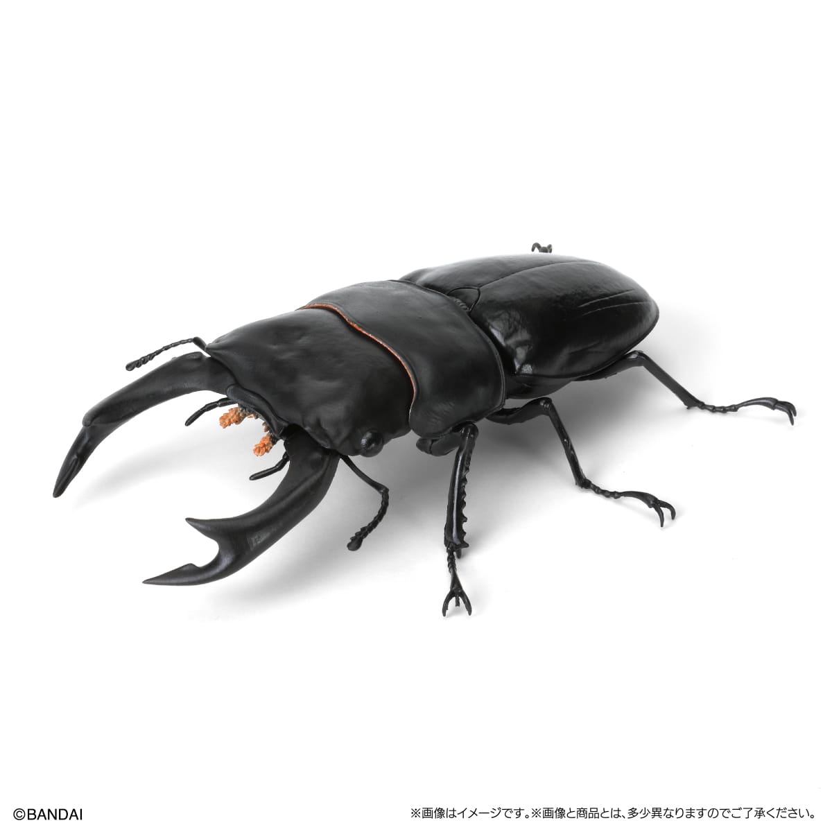 IN-STOCK Bandai - The Diversity of Life on Earth - Stag Beetle 09