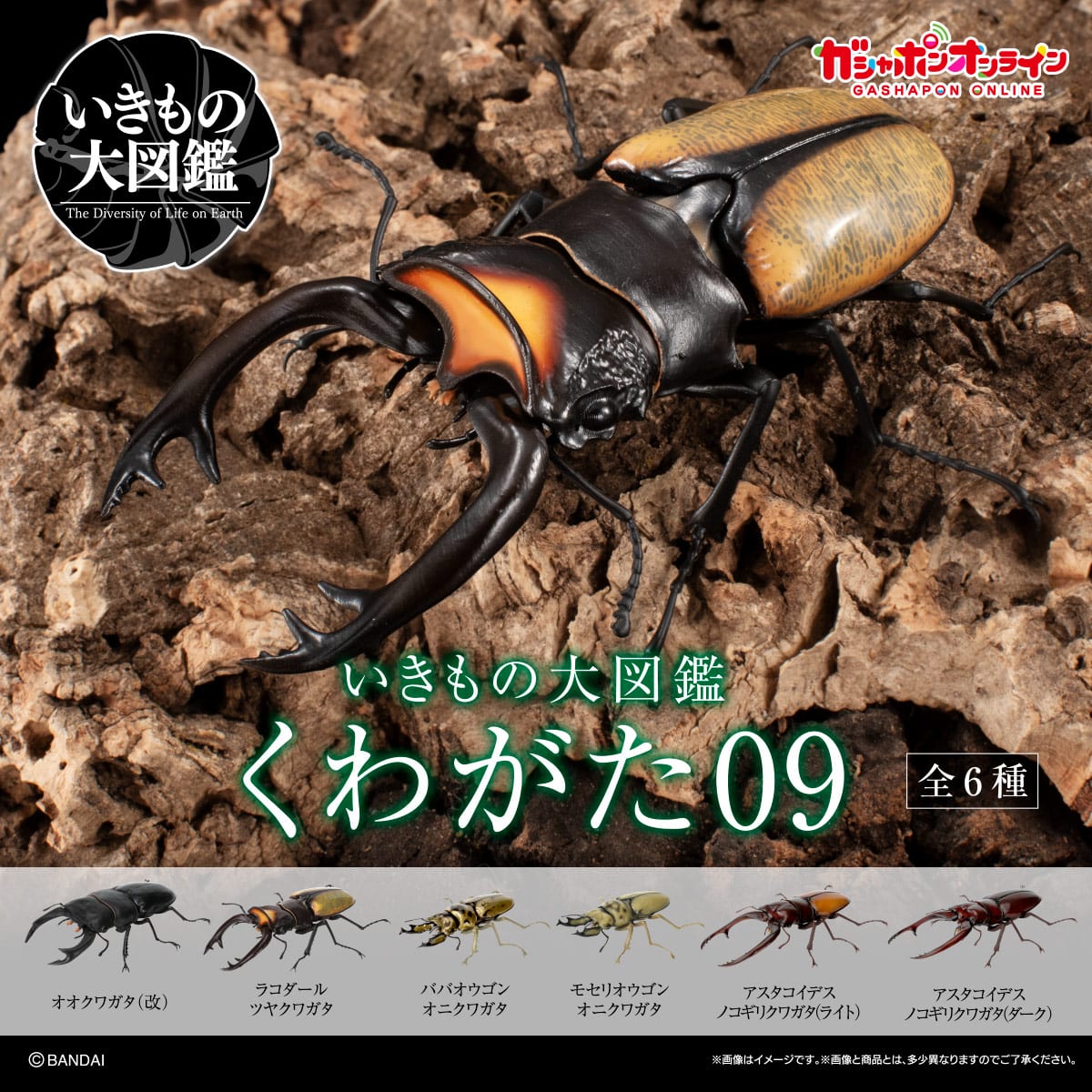 IN-STOCK Bandai - The Diversity of Life on Earth - Stag Beetle 09