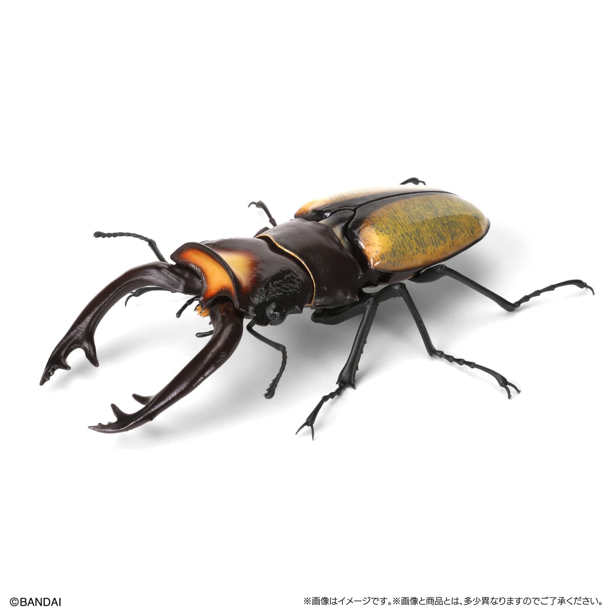 IN-STOCK Bandai - The Diversity of Life on Earth - Stag Beetle 09