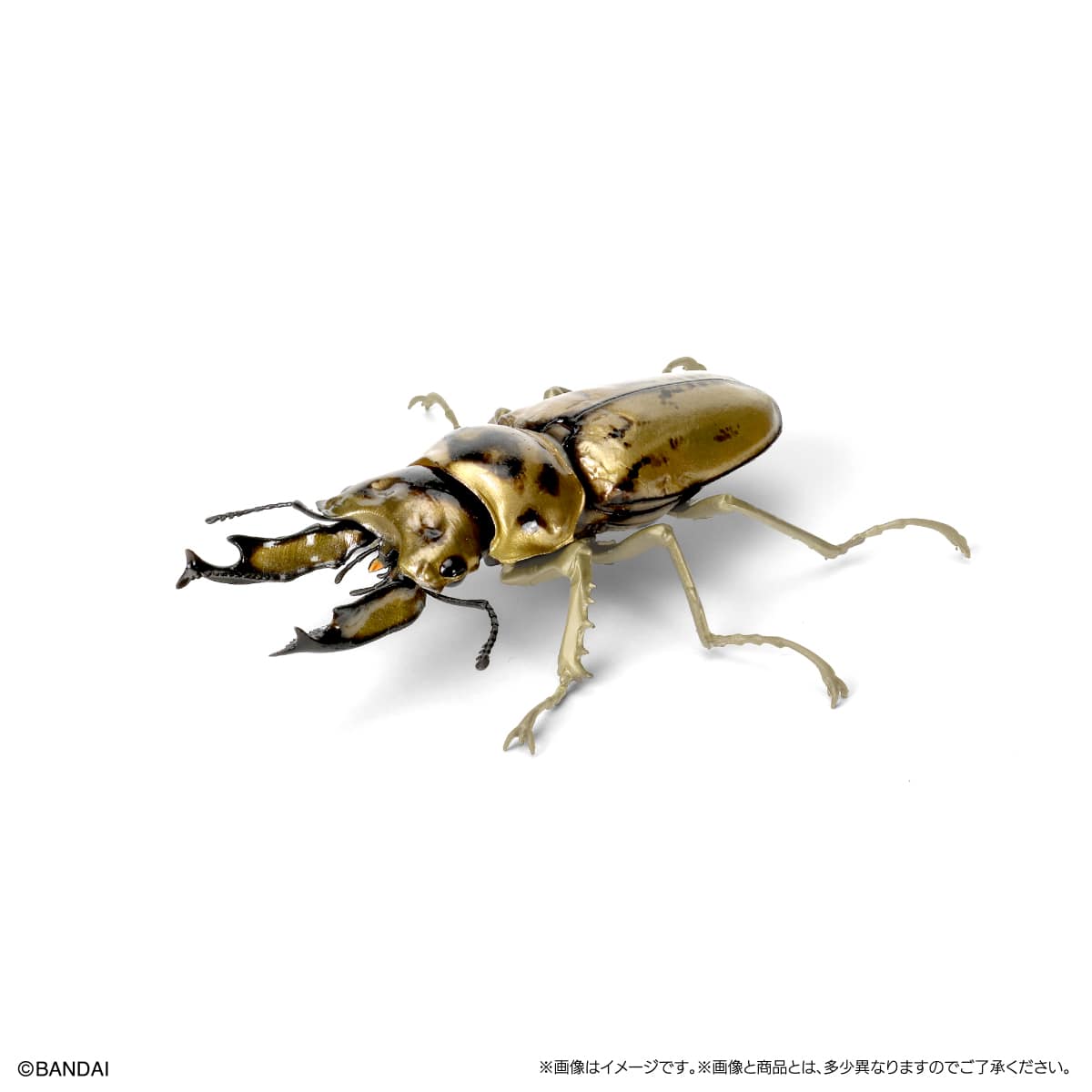 IN-STOCK Bandai - The Diversity of Life on Earth - Stag Beetle 09