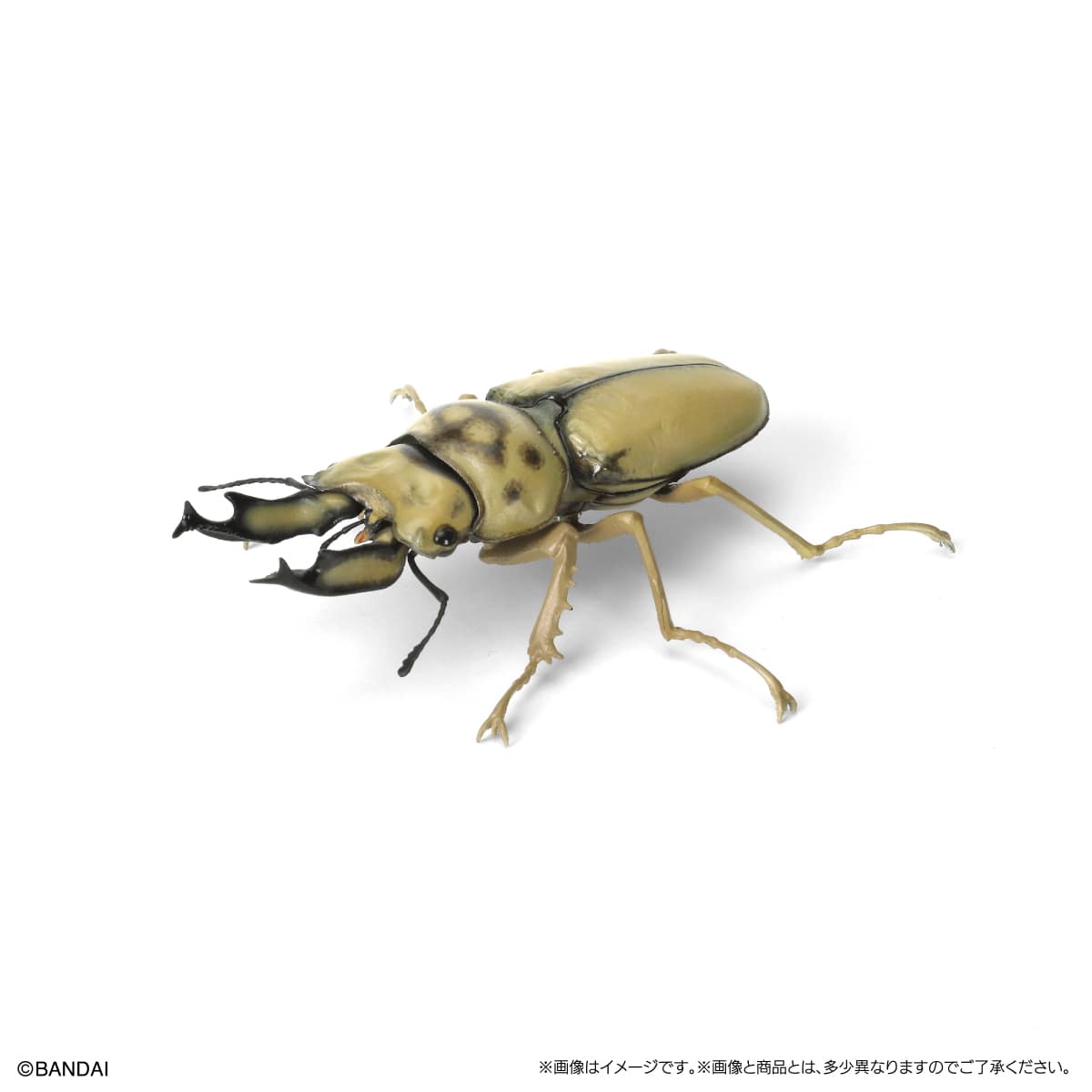 IN-STOCK Bandai - The Diversity of Life on Earth - Stag Beetle 09