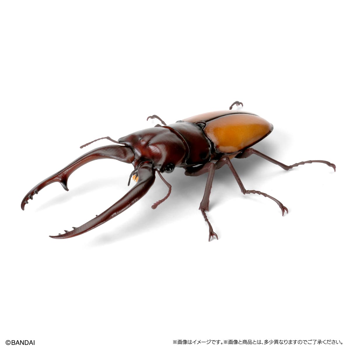 IN-STOCK Bandai - The Diversity of Life on Earth - Stag Beetle 09