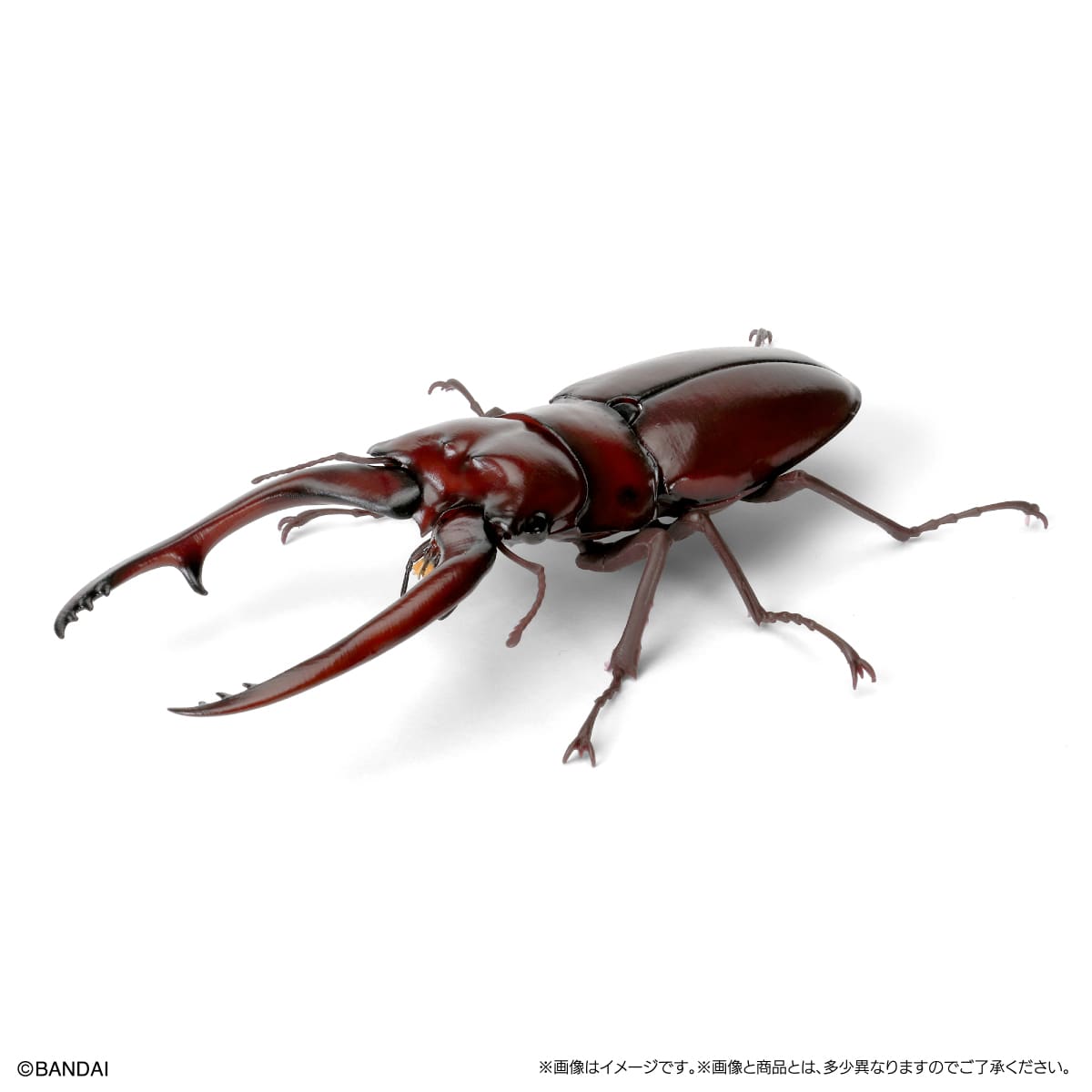 IN-STOCK Bandai - The Diversity of Life on Earth - Stag Beetle 09