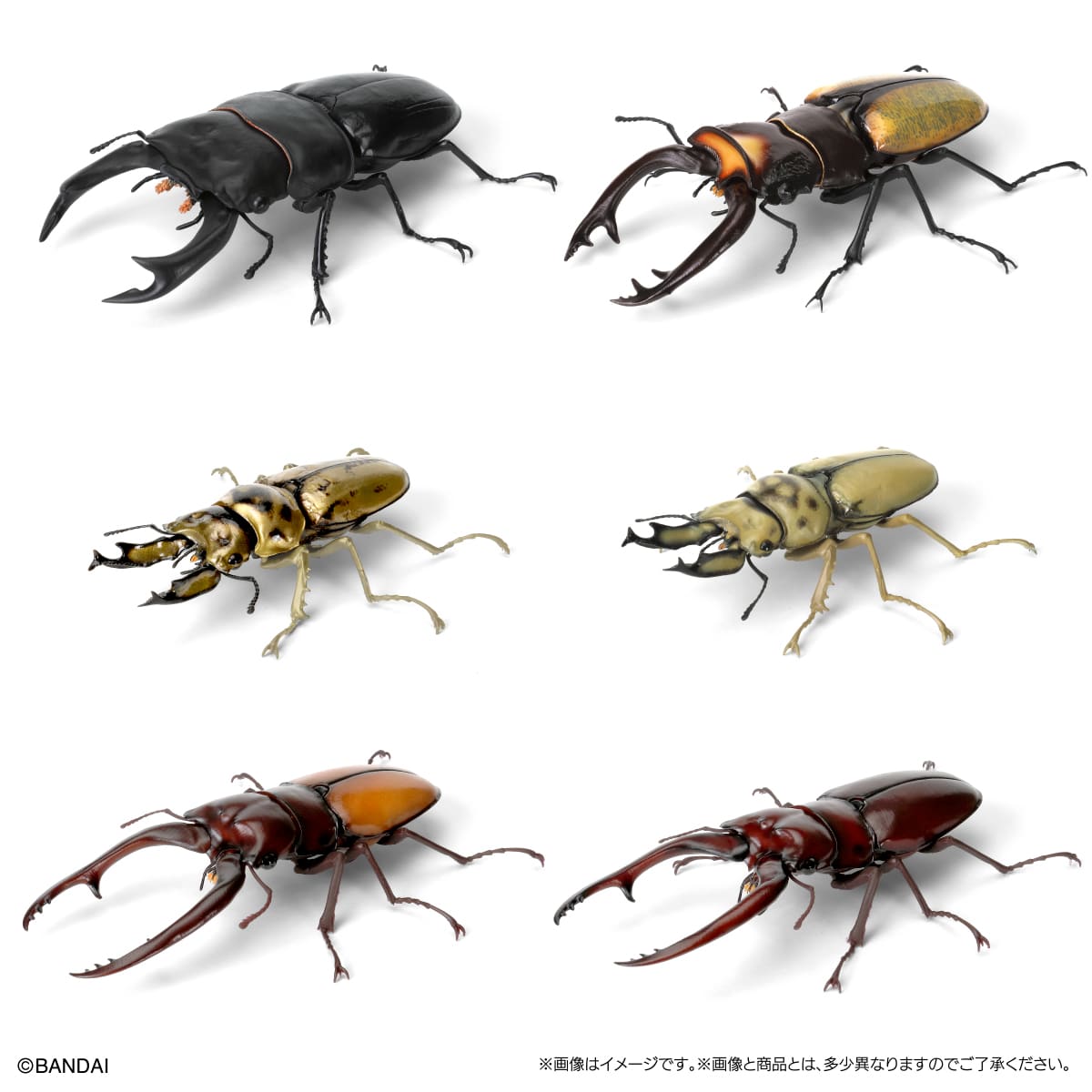 IN-STOCK Bandai - The Diversity of Life on Earth - Stag Beetle 09