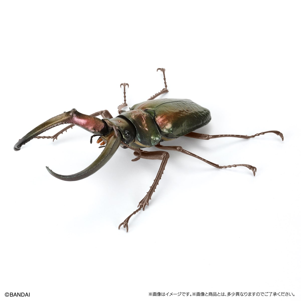 PRE-ORDER Bandai - The Diversity of Life on Earth - Stag Beetle 10 Bark Pedestal (Small) [Set of 7] [EXCLUSIVE]