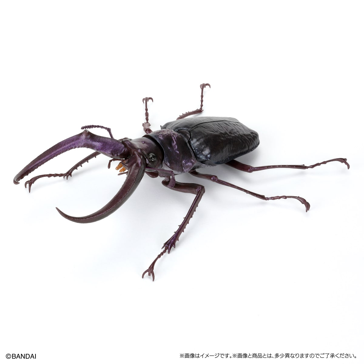 PRE-ORDER Bandai - The Diversity of Life on Earth - Stag Beetle 10 Bark Pedestal (Small) [Set of 7] [EXCLUSIVE]