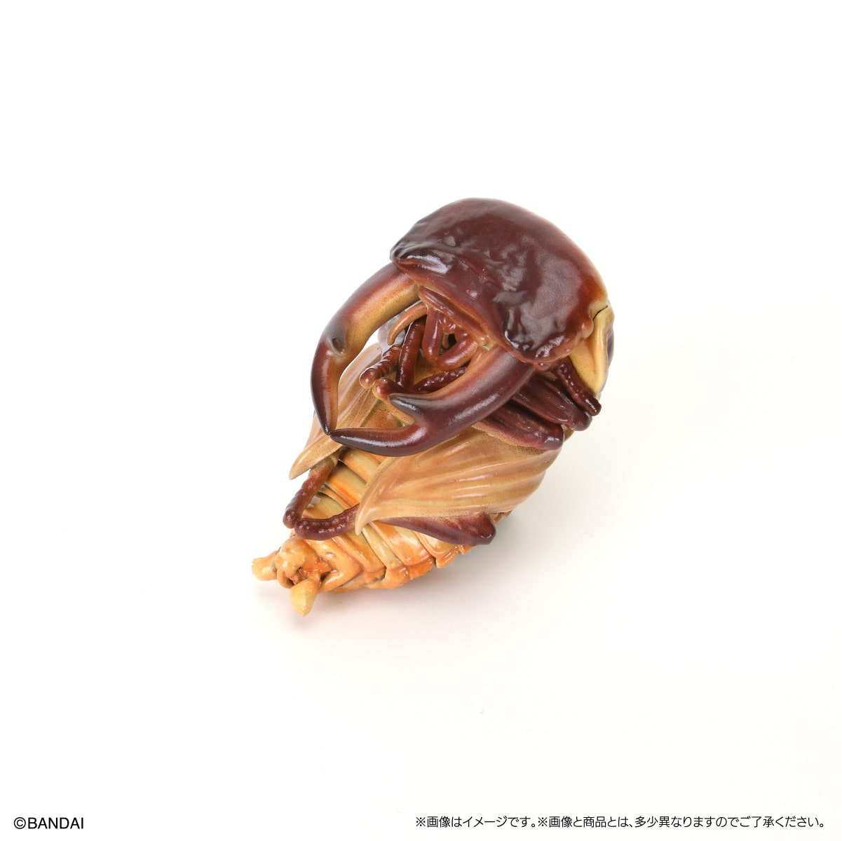 PRE-ORDER Bandai - The Diversity of Life on Earth - Stag Beetle 10 Bark Pedestal (Small) [Set of 7] [EXCLUSIVE]
