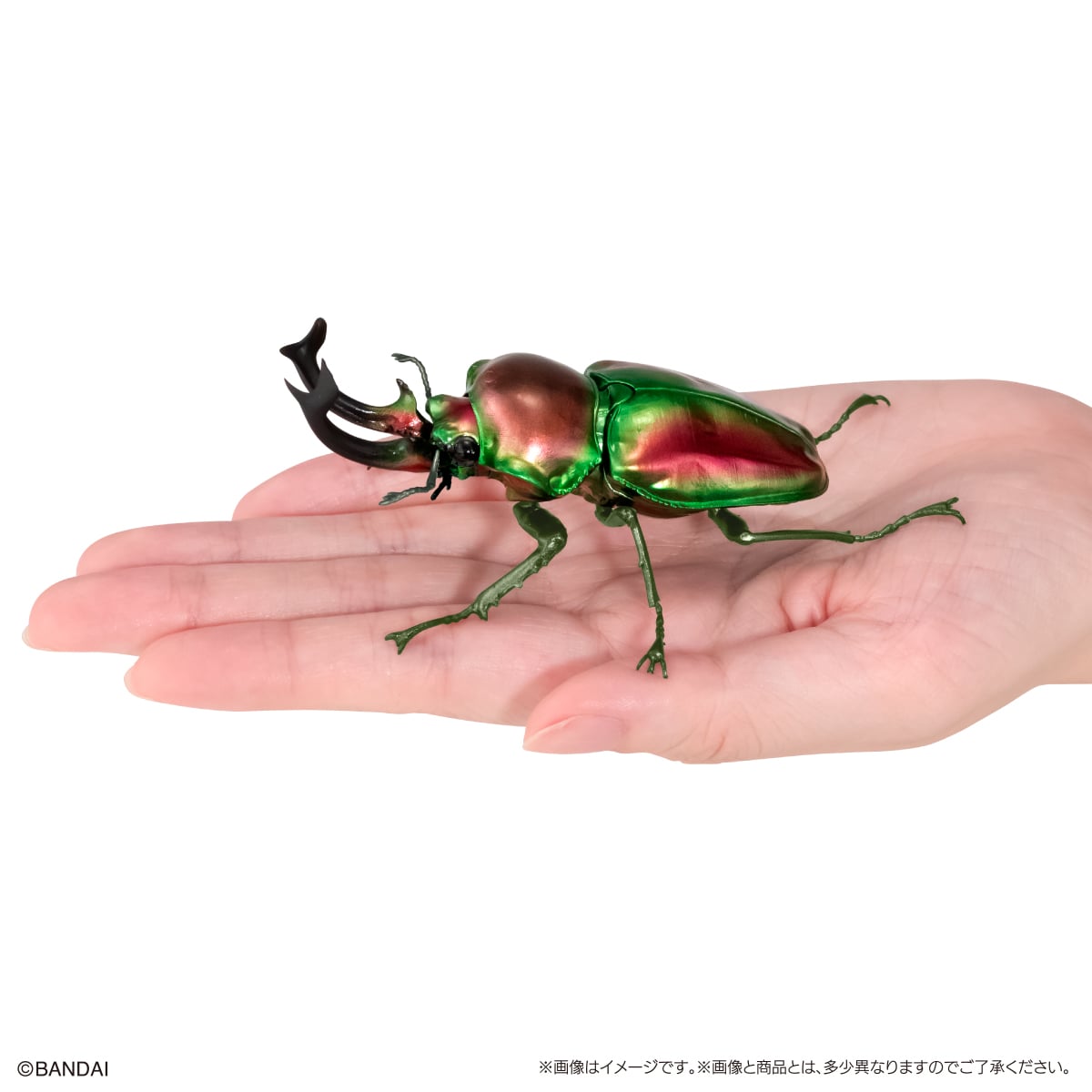 PRE-ORDER Bandai - The Diversity of Life on Earth - Stag Beetle 10 Bark Pedestal (Small) [Set of 7] [EXCLUSIVE]