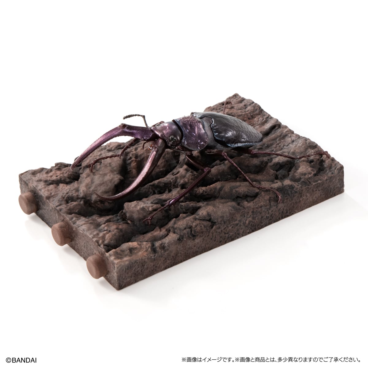 PRE-ORDER Bandai - The Diversity of Life on Earth - Stag Beetle 10 Bark Pedestal (Small) [Set of 7] [EXCLUSIVE]
