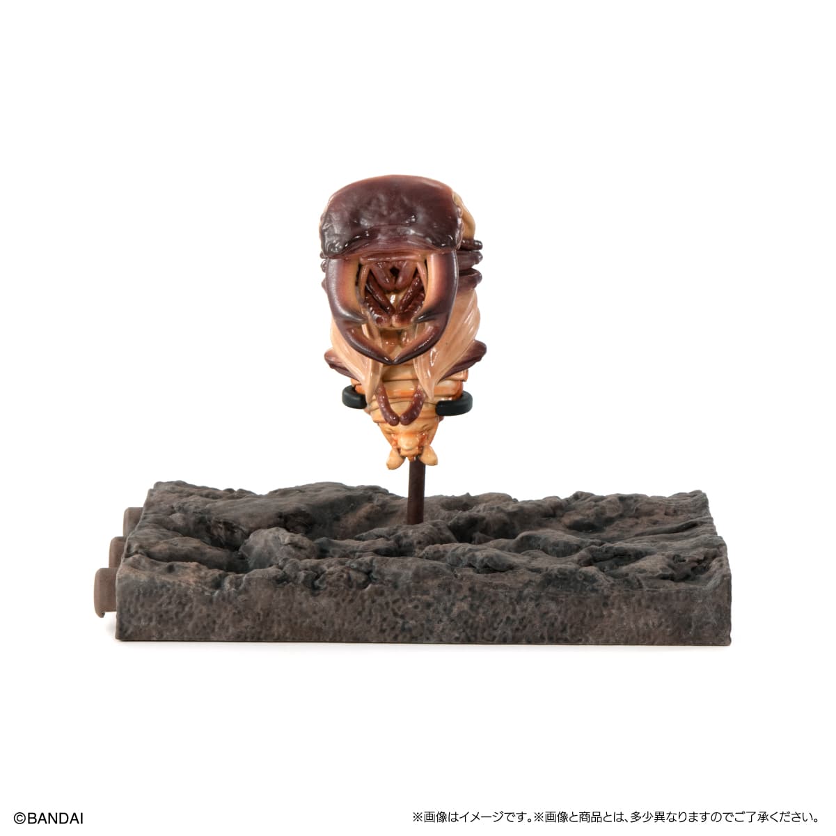 PRE-ORDER Bandai - The Diversity of Life on Earth - Stag Beetle 10 Bark Pedestal (Small) [Set of 7] [EXCLUSIVE]