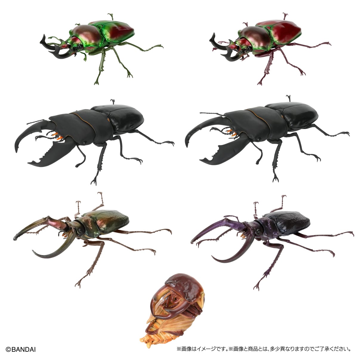 PRE-ORDER Bandai - The Diversity of Life on Earth - Stag Beetle 10 Bark Pedestal (Small) [Set of 7] [EXCLUSIVE]