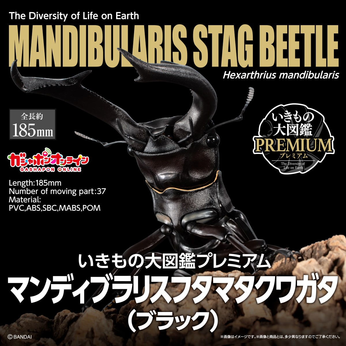 PRE-ORDER Bandai - The Diversity of Life on Earth PREMIUM - Mandibularis Stag Beetle (Hexarthrius mandibularis) (Black) [Gashapon Online Exclusive]