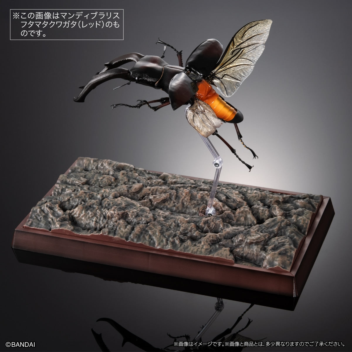 PRE-ORDER Bandai - The Diversity of Life on Earth PREMIUM - Mandibularis Stag Beetle (Hexarthrius mandibularis) (Black) [Gashapon Online Exclusive]