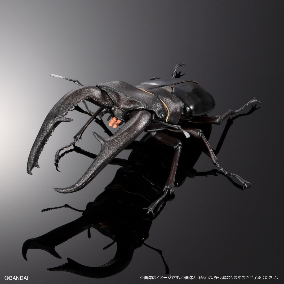 PRE-ORDER Bandai - The Diversity of Life on Earth PREMIUM - Mandibularis Stag Beetle (Hexarthrius mandibularis) (Black) [Gashapon Online Exclusive]