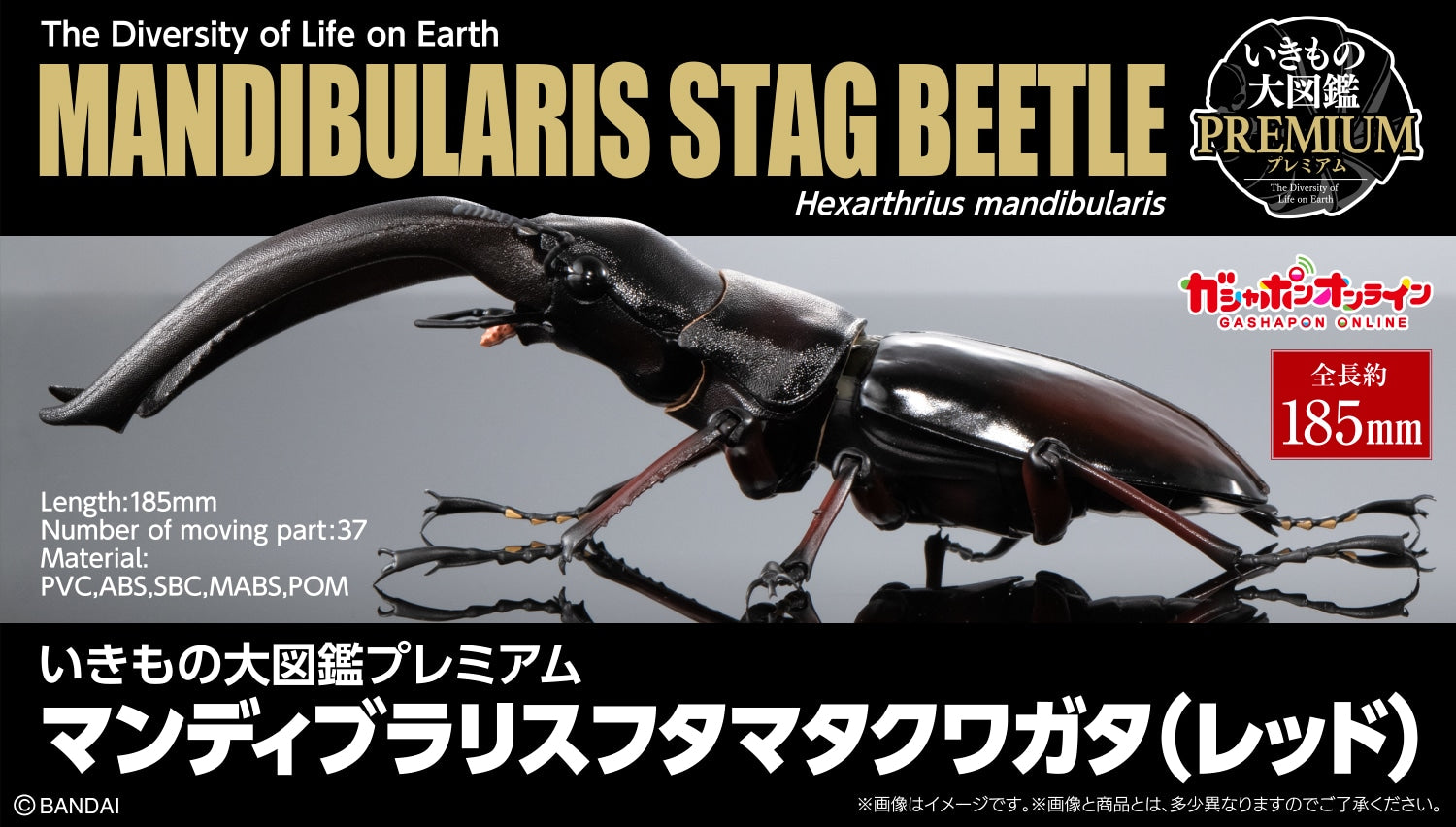 PRE-ORDER Bandai - The Diversity of Life on Earth PREMIUM - Mandibularis Stag Beetle (Hexarthrius mandibularis) (Black) [Gashapon Online Exclusive]