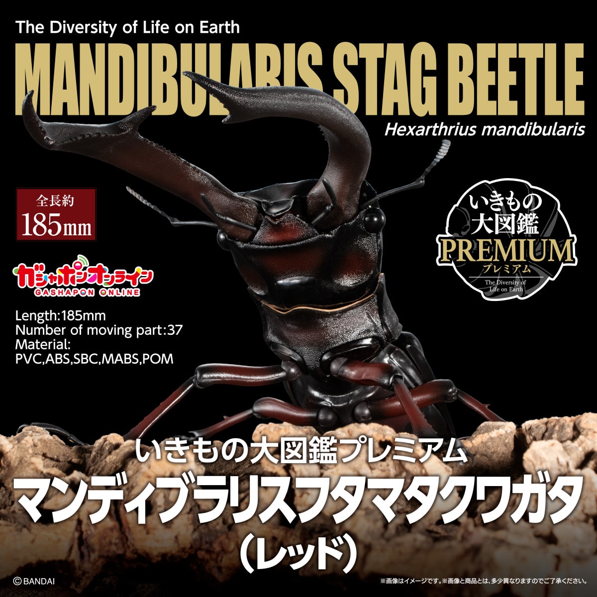 IN-STOCK Bandai - The Diversity of Life on Earth PREMIUM - Mandibularis Stag Beetle (Hexarthrius mandibularis) (Red) [Gashapon Online Exclusive]