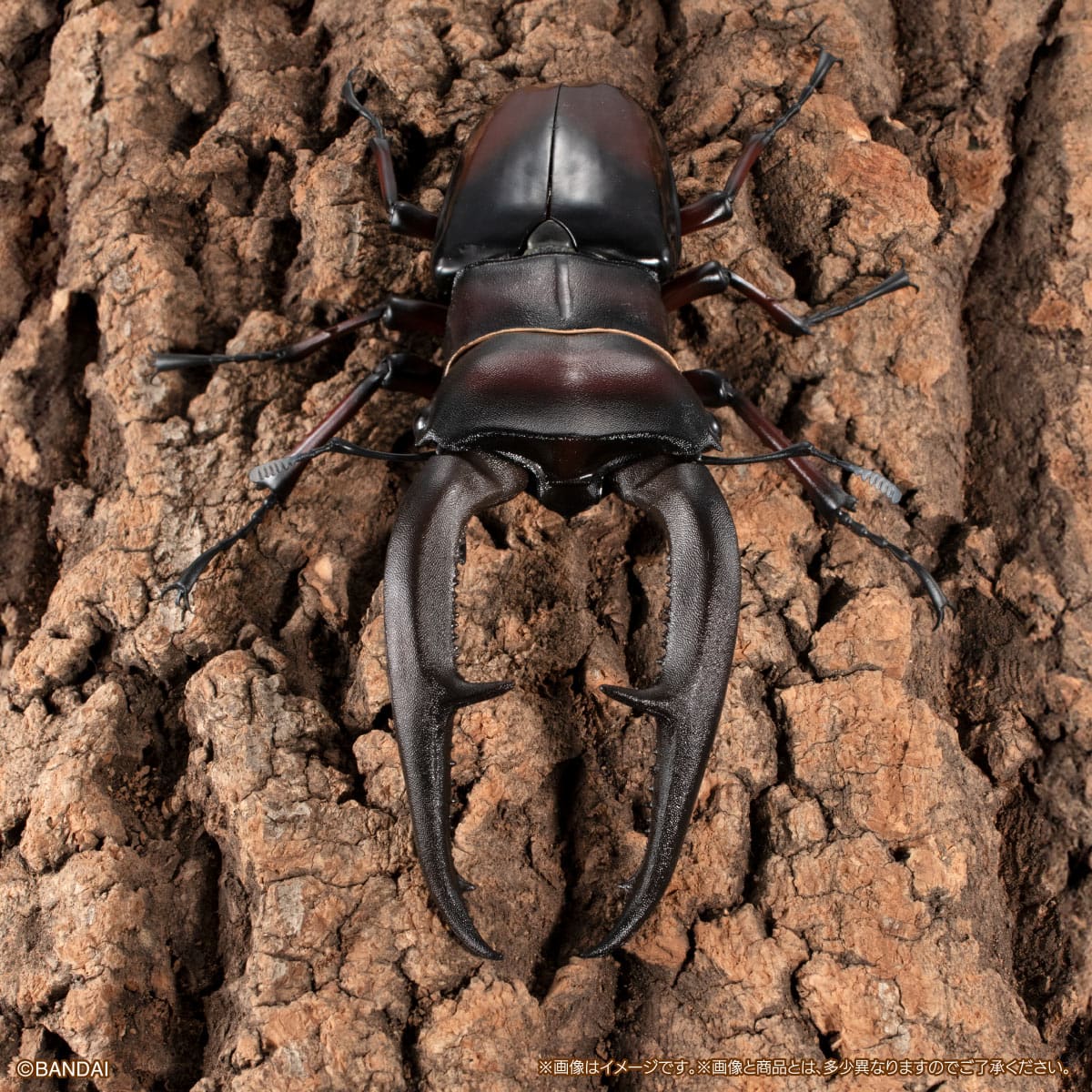 IN-STOCK Bandai - The Diversity of Life on Earth PREMIUM - Mandibularis Stag Beetle (Hexarthrius mandibularis) (Red) [Gashapon Online Exclusive]