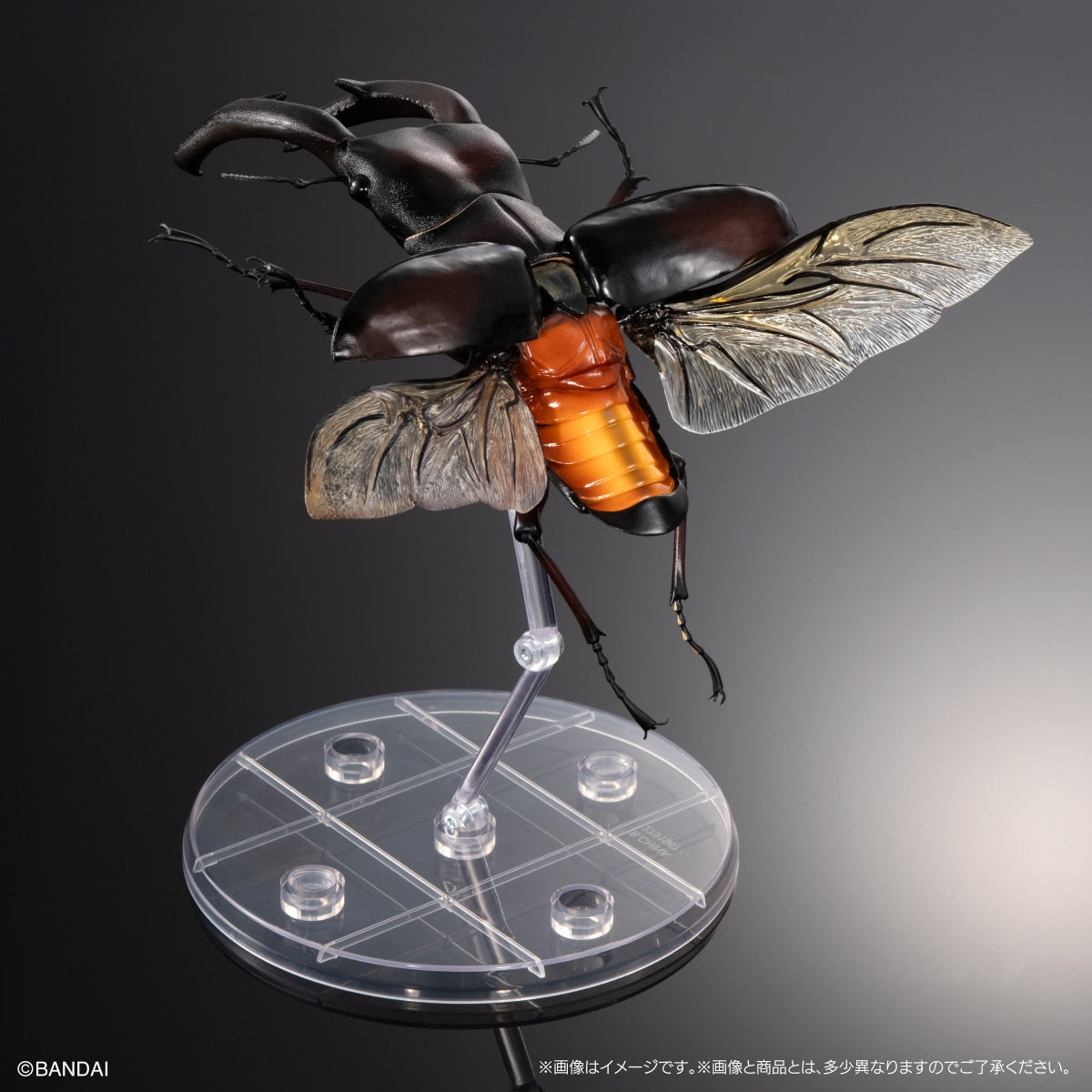 IN-STOCK Bandai - The Diversity of Life on Earth PREMIUM - Mandibularis Stag Beetle (Hexarthrius mandibularis) (Red) [Gashapon Online Exclusive]