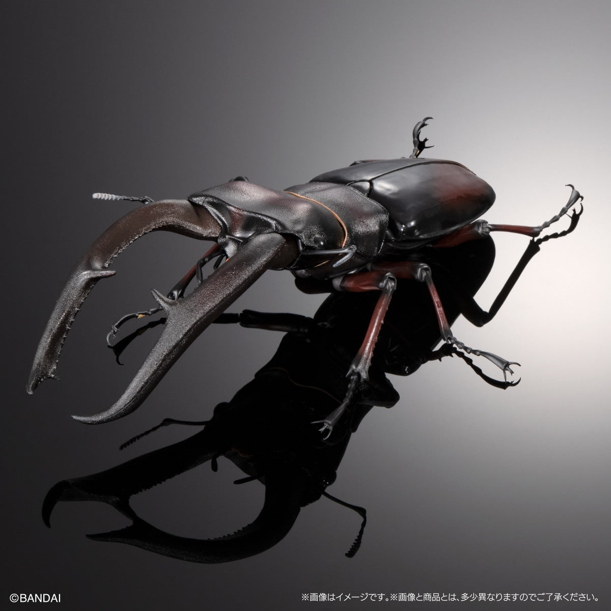 IN-STOCK Bandai - The Diversity of Life on Earth PREMIUM - Mandibularis Stag Beetle (Hexarthrius mandibularis) (Red) [Gashapon Online Exclusive]