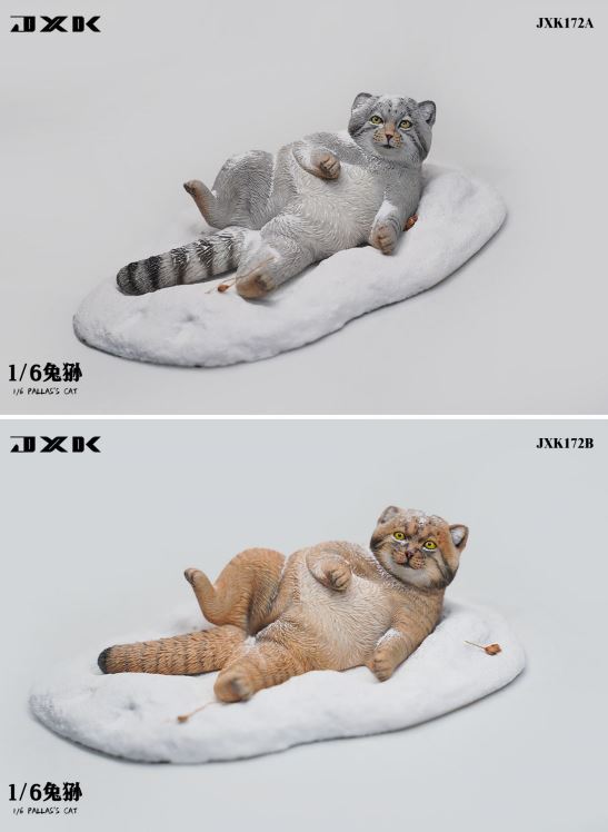 PRE-ORDER Pallas' Cat 1/6