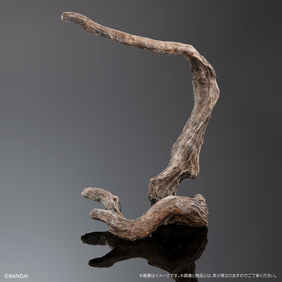 PRE-ORDER Bandai - The Diversity of Life on Earth - Panther Chameleon: Ambirobe Green