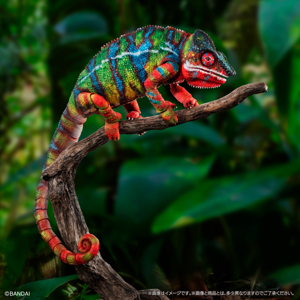 PRE-ORDER Bandai - The Diversity of Life on Earth - Panther Chameleon: Ambirobe Green