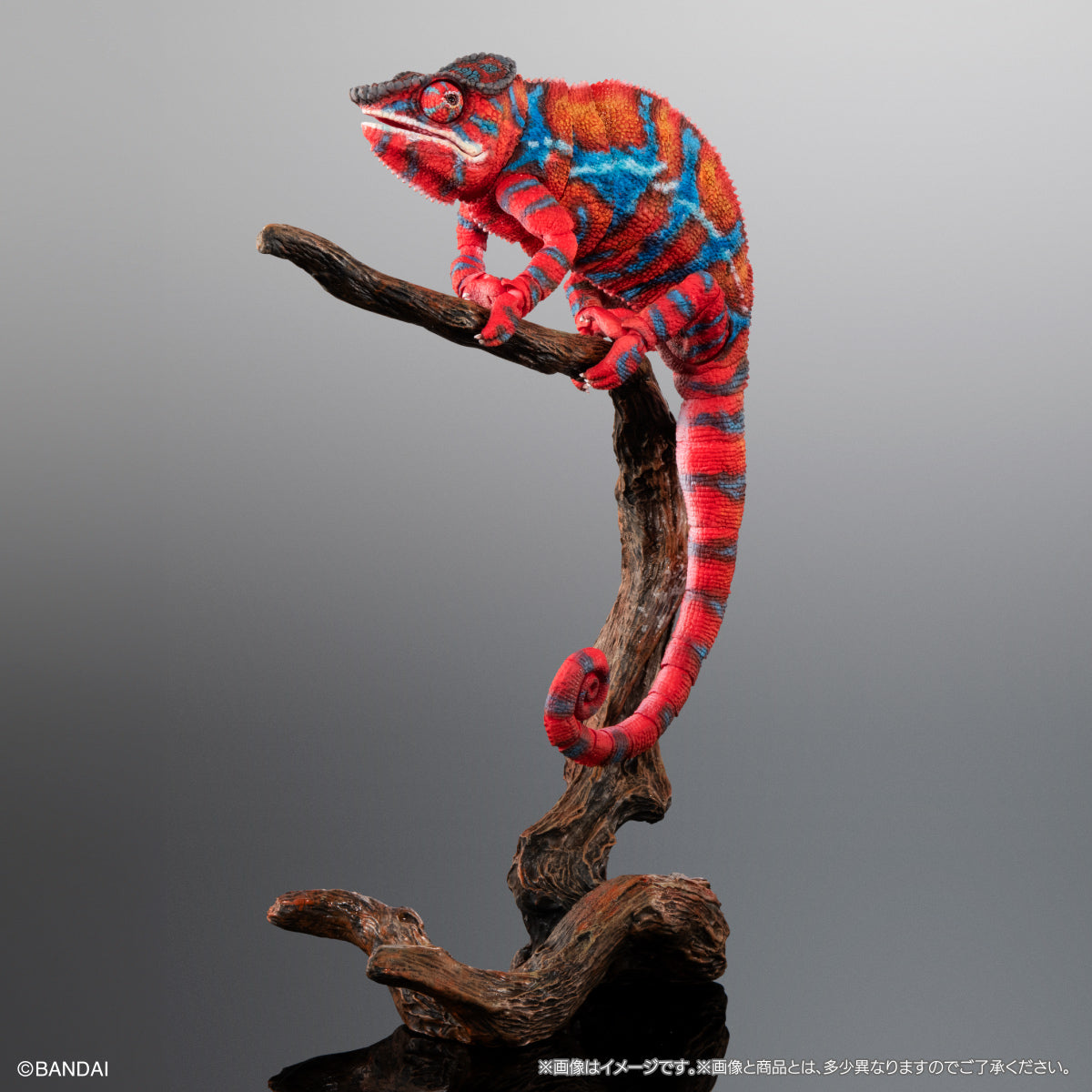 PRE-ORDER Bandai - The Diversity of Life on Earth - Panther Chameleon: Ambirobe Red