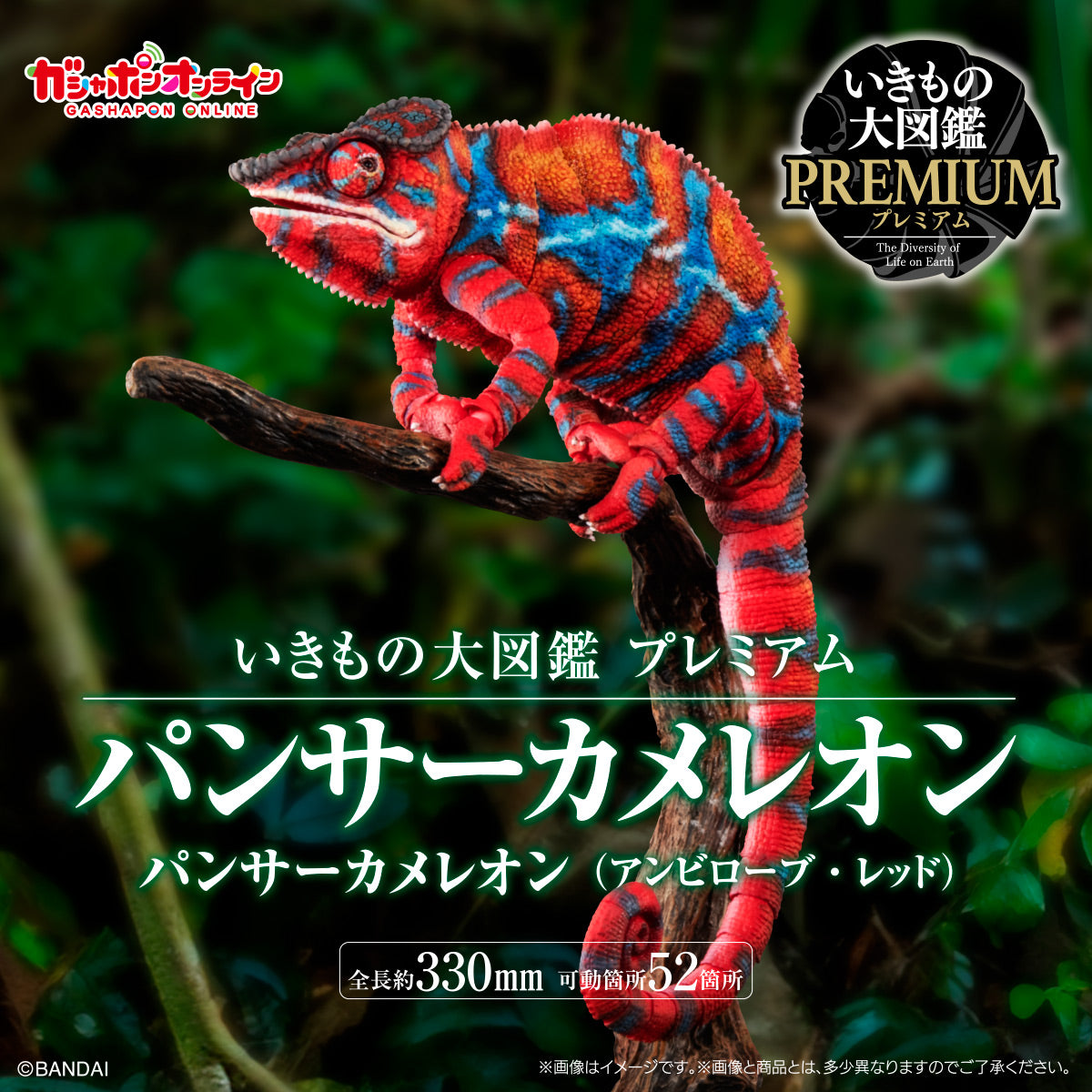 PRE-ORDER Bandai - The Diversity of Life on Earth - Panther Chameleon: Ambirobe Red
