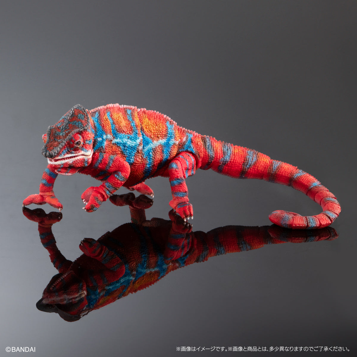 PRE-ORDER Bandai - The Diversity of Life on Earth - Panther Chameleon: Ambirobe Red