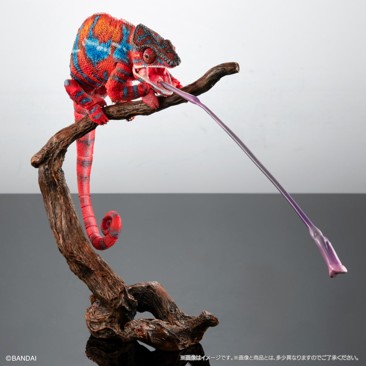 PRE-ORDER Bandai - The Diversity of Life on Earth - Panther Chameleon: Ambirobe Red
