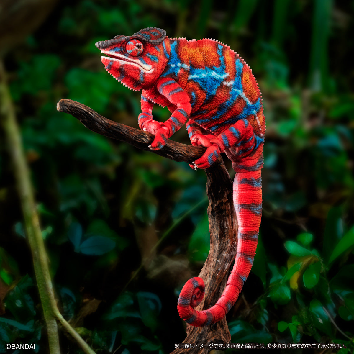 PRE-ORDER Bandai - The Diversity of Life on Earth - Panther Chameleon: Ambirobe Red