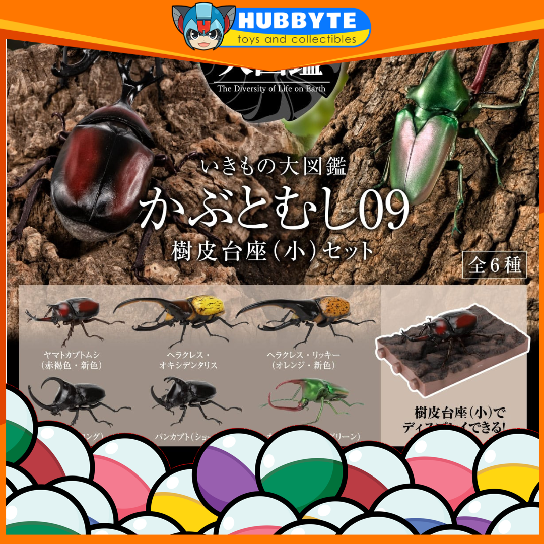 PRE-ORDER Bandai - The Diversity of Life on Earth - Rhinocerus Beetle 09 Perch Pedestal Set [EXCLUSIVE]
