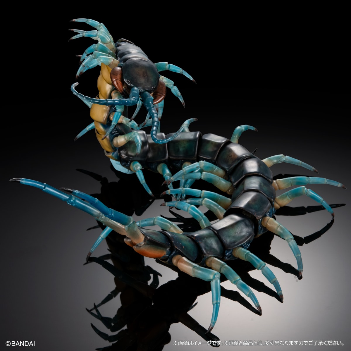 PRE-ORDER Bandai - The Diversity of Life on Earth Premium SCOLOPENDRA ALCYONA (Ryujin Giant Centipede) [EXCLUSIVE]