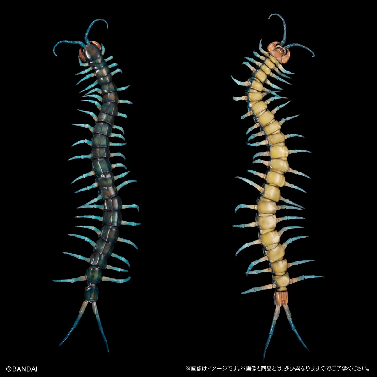 PRE-ORDER Bandai - The Diversity of Life on Earth Premium SCOLOPENDRA ALCYONA (Ryujin Giant Centipede) [EXCLUSIVE]