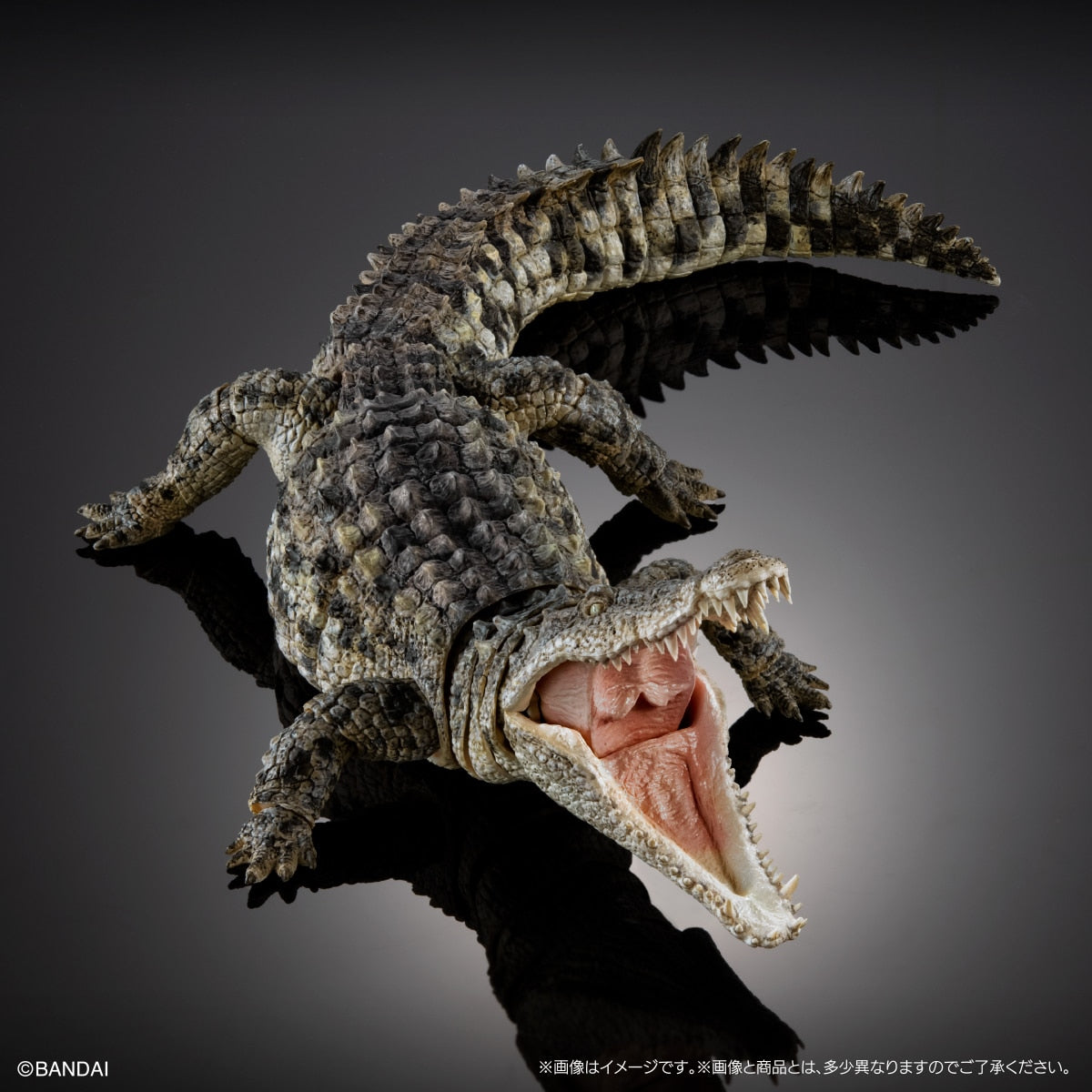PRE-ORDER Bandai - The Diversity of Life on Earth - Nile Crocodile: Light Color