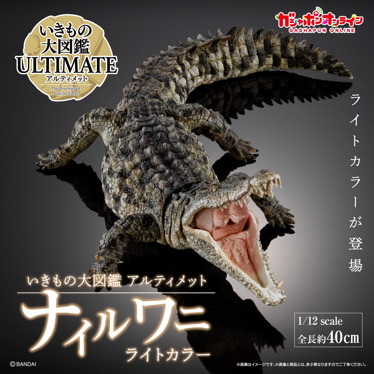 PRE-ORDER Bandai - The Diversity of Life on Earth - Nile Crocodile: Light Color