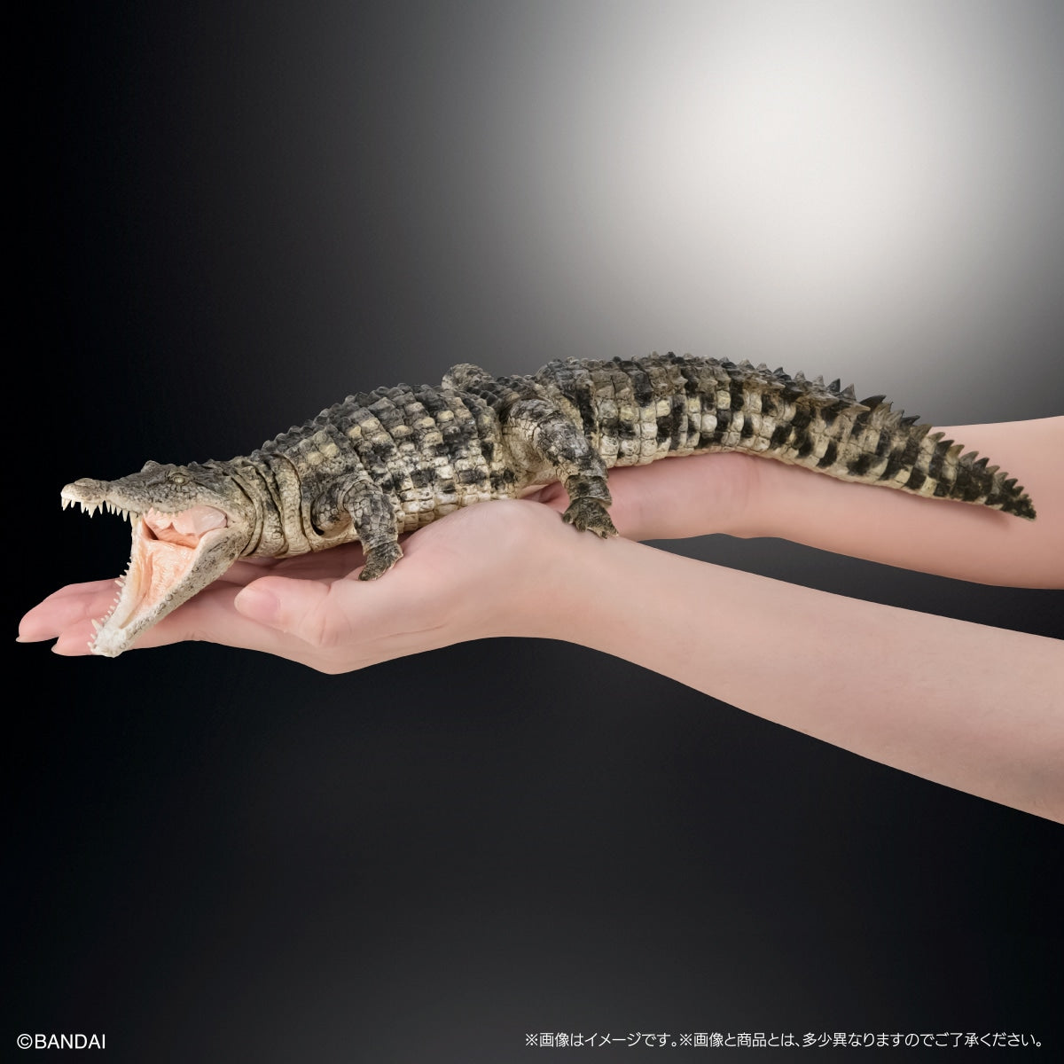 PRE-ORDER Bandai - The Diversity of Life on Earth - Nile Crocodile: Light Color