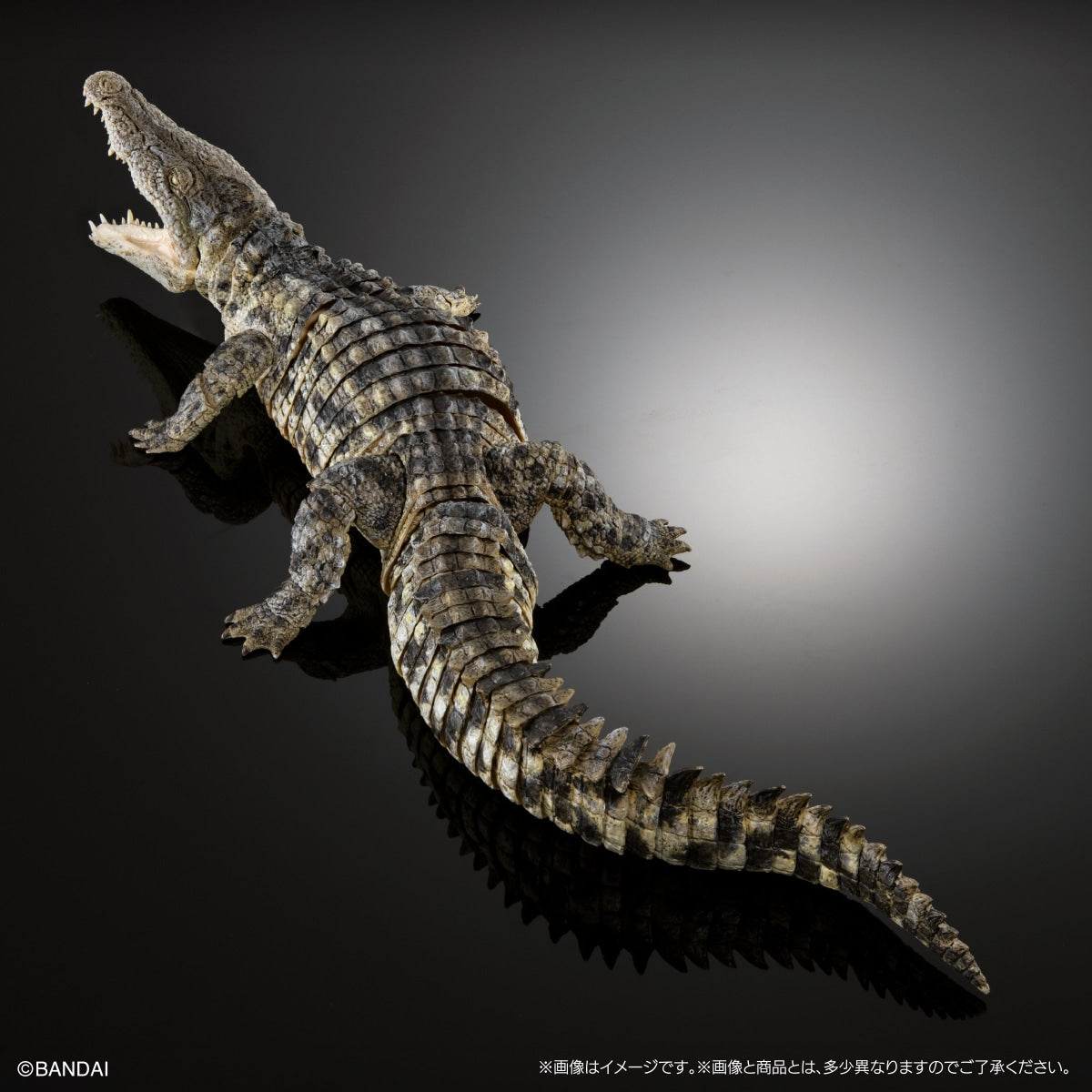 PRE-ORDER Bandai - The Diversity of Life on Earth - Nile Crocodile: Light Color