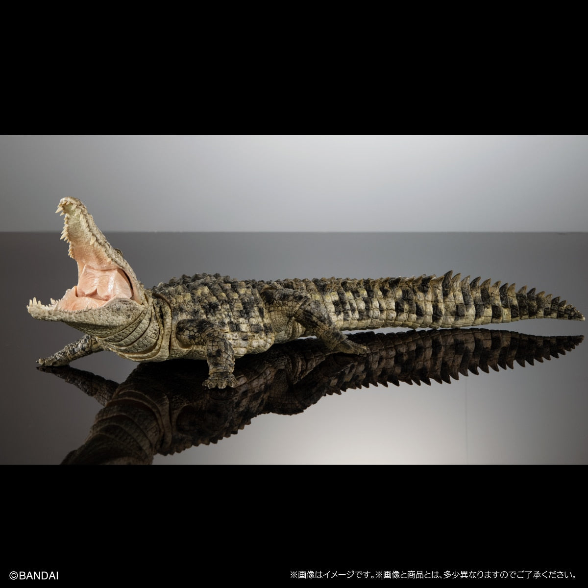 PRE-ORDER Bandai - The Diversity of Life on Earth - Nile Crocodile: Light Color