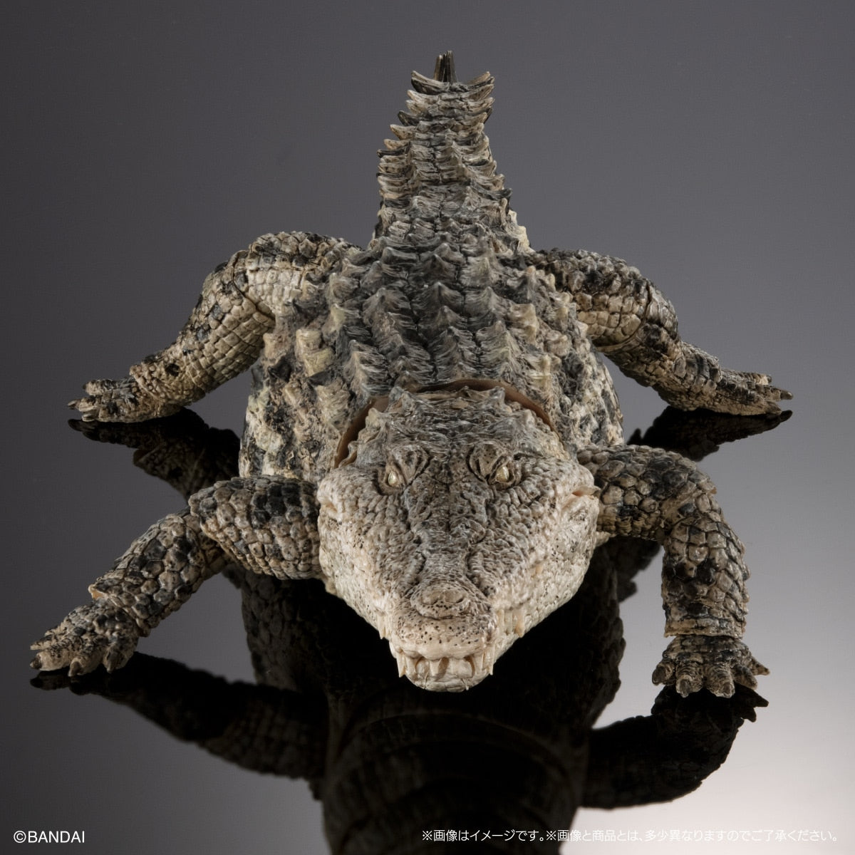 PRE-ORDER Bandai - The Diversity of Life on Earth - Nile Crocodile: Light Color