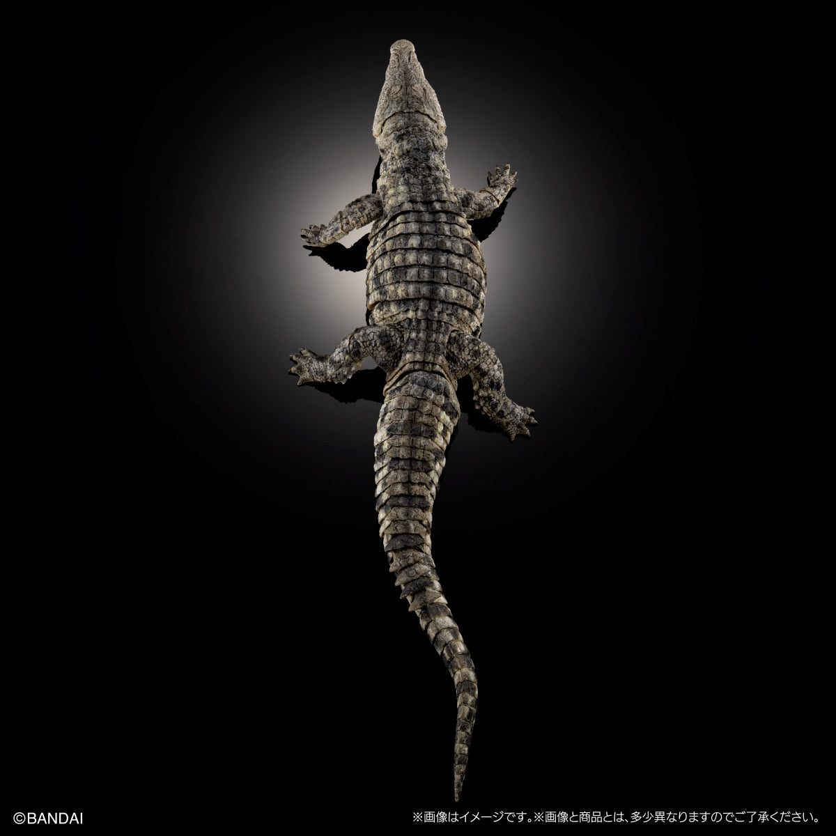 PRE-ORDER Bandai - The Diversity of Life on Earth - Nile Crocodile: Light Color