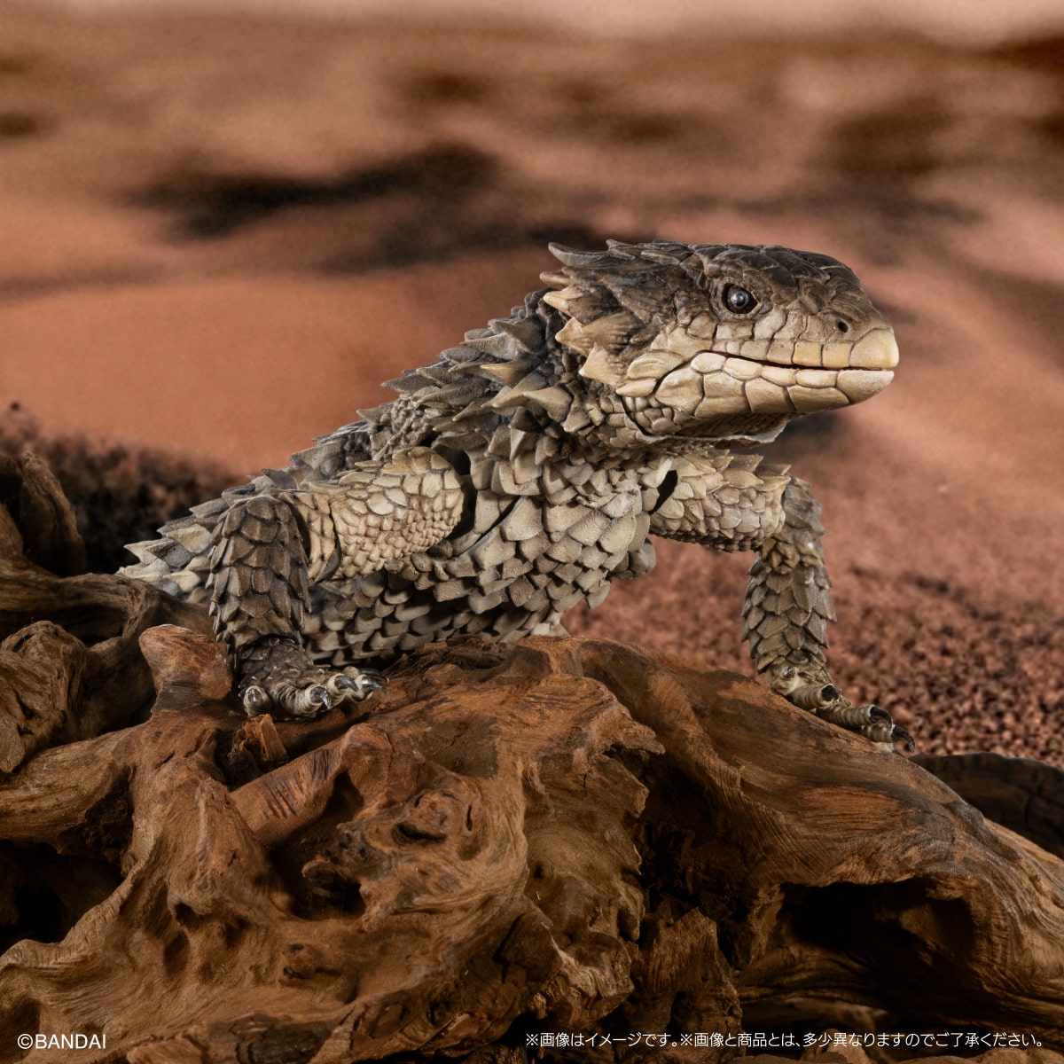 PRE-ORDER Bandai - The Diversity of Life on Earth - Ultimate Smaug Giganteus