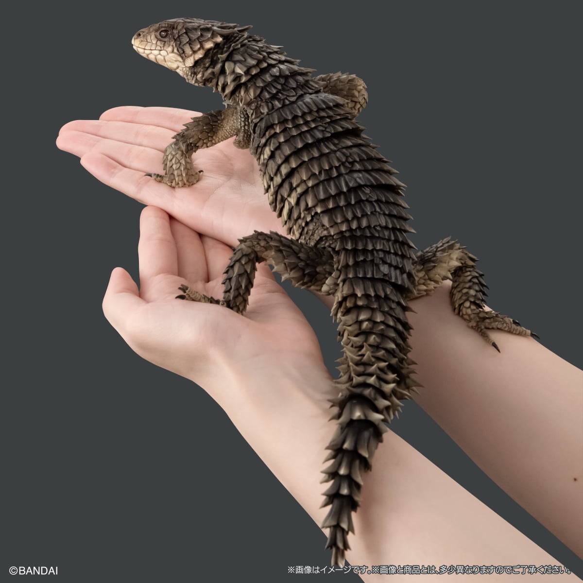 PRE-ORDER Bandai - The Diversity of Life on Earth - Ultimate Smaug Giganteus