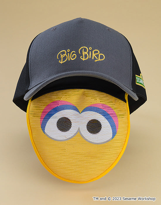 PRE-ORDER Sesame Street Mask Hats