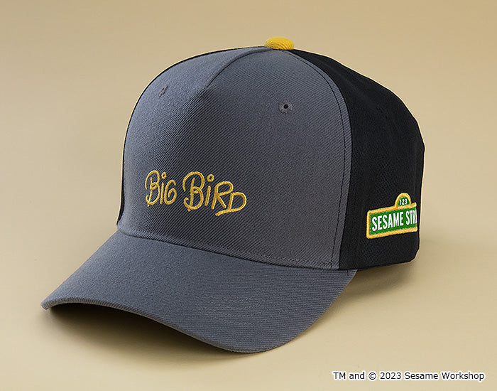 PRE-ORDER Sesame Street Mask Hats