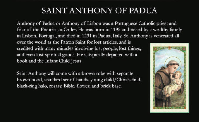 PRE-ORDER Biblical Adventures: Book Two - St. Anthony of Padua 1/12