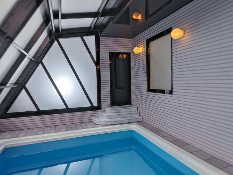 PRE-ORDER That Pool 1/12