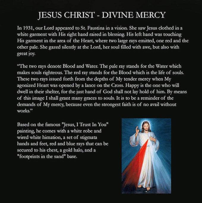 PRE-ORDER Biblical Adventures: Book One - Jesus Christ: Divine Mercy 1/12