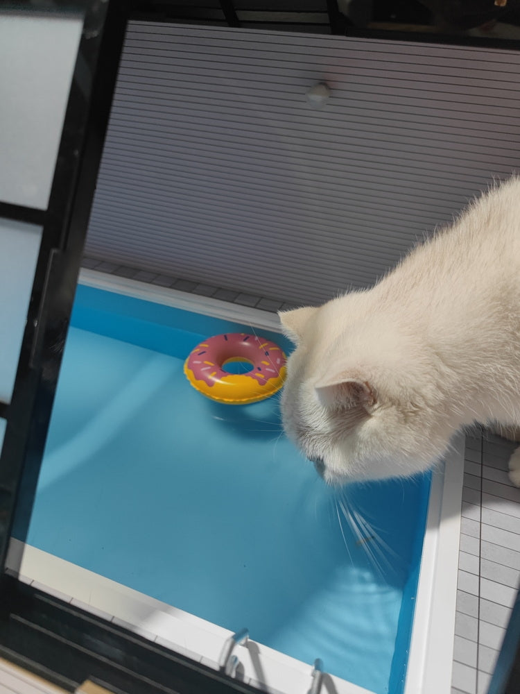 PRE-ORDER That Pool 1/12